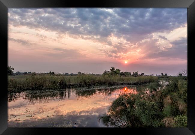 Sun Rising on the Okavango Delta Framed Print by Belinda Greb