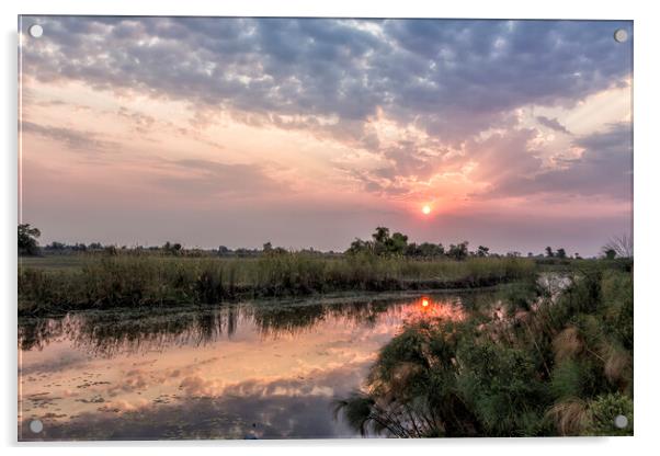 Sun Rising on the Okavango Delta Acrylic by Belinda Greb