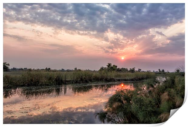 Sun Rising on the Okavango Delta Print by Belinda Greb