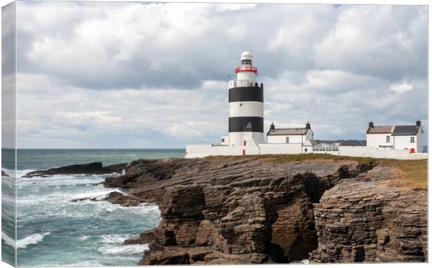 Hook Head Lighthouse, Co Wexford, Ireland  Canvas Print by Derek Daniel