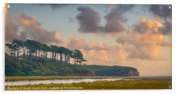 South Devon Sunset Acrylic by Stuart Wyatt