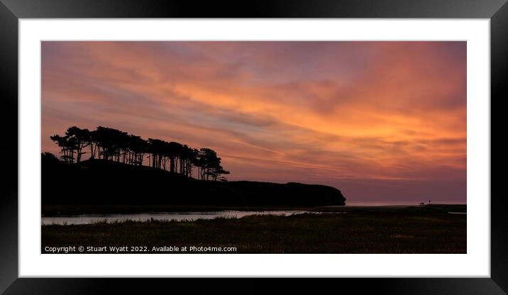 Sunset Tree Silhouette Framed Mounted Print by Stuart Wyatt