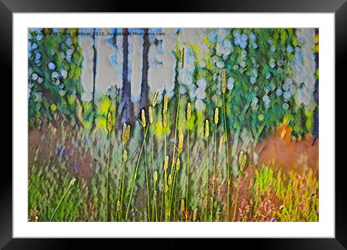 Grass at the Edge of Forest  Framed Mounted Print by Taina Sohlman