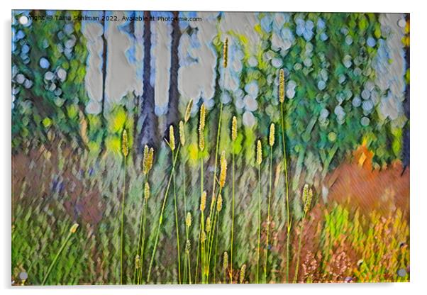 Grass at the Edge of Forest  Acrylic by Taina Sohlman