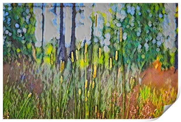 Grass at the Edge of Forest  Print by Taina Sohlman