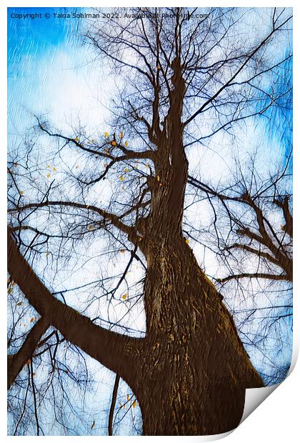Bare Tree Against Sky in Autumn Digital Art Print by Taina Sohlman