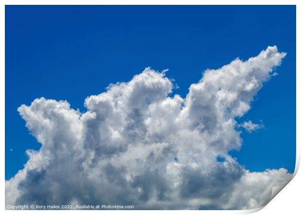 Cumulus clouds Print by Rory Hailes
