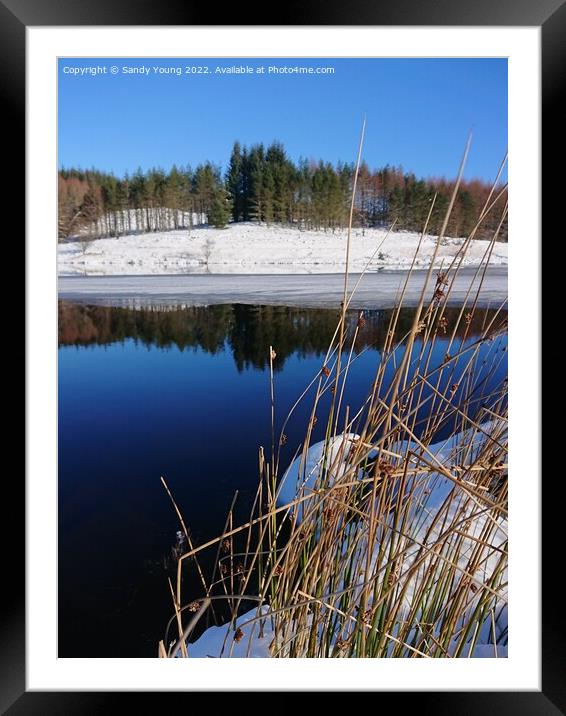 Winter's Reflection Framed Mounted Print by Sandy Young