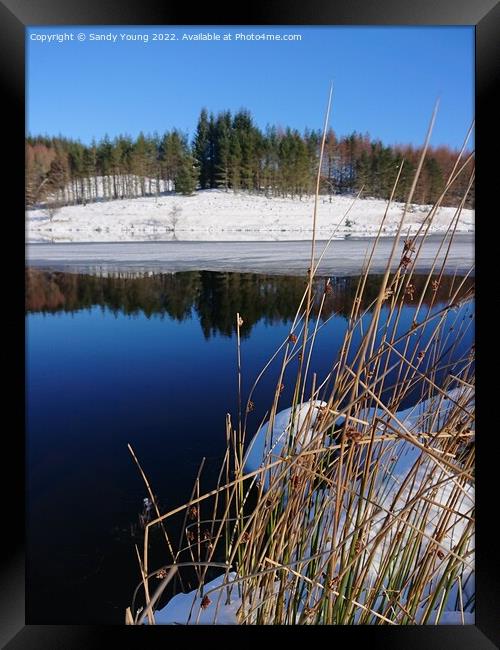 Winter's Reflection Framed Print by Sandy Young
