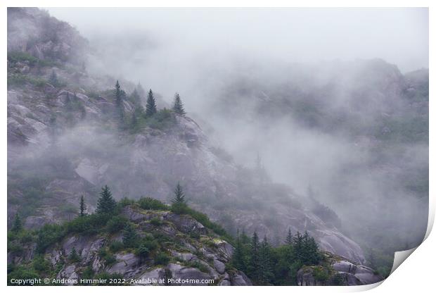 Pines on rounded cliffs in morning mist Print by Andreas Himmler