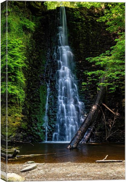 Falling Foss Canvas Print by Andrew  Sturdy