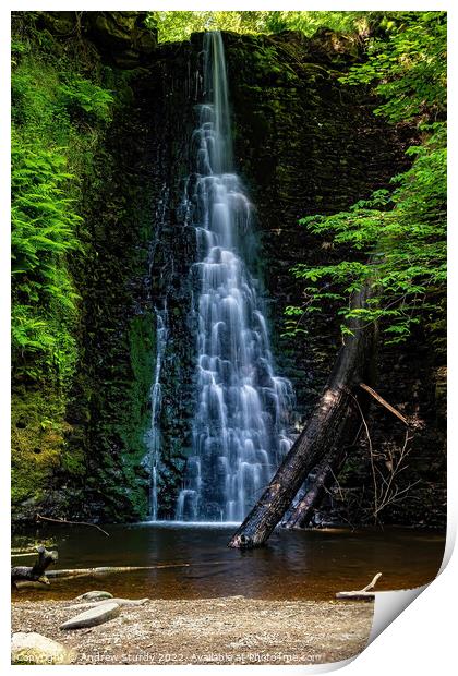 Falling Foss Print by Andrew  Sturdy