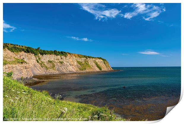 Robin Hoods Bay Print by Andrew  Sturdy