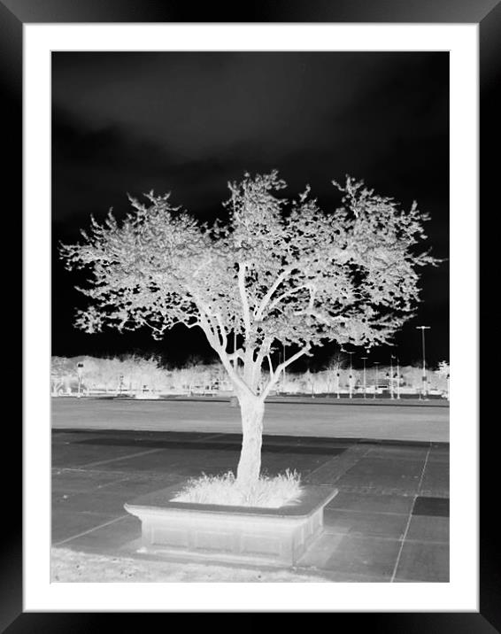 EVEN A NEGATIVE CAN BE A PLUS Framed Mounted Print by Robert Happersberg