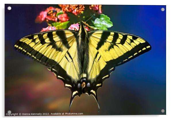 Swallowtail in Living Color Acrylic by Donna Kennedy