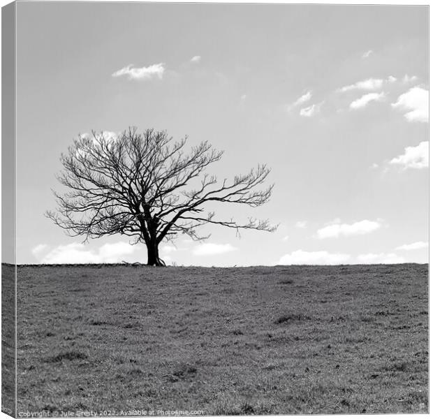 Lone Tree in Winter Black & White Canvas Print by Julie Gresty