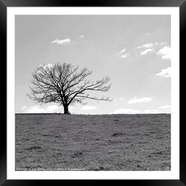 Lone Tree in Winter Black & White Framed Mounted Print by Julie Gresty