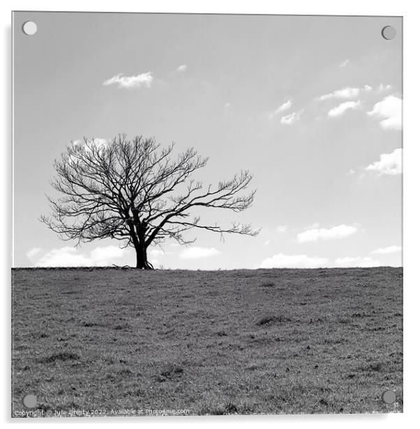 Lone Tree in Winter Black & White Acrylic by Julie Gresty