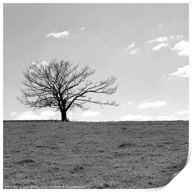 Lone Tree in Winter Black & White Print by Julie Gresty