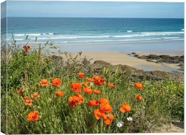 Last of the poppies at Fistral Beach Canvas Print by Tony Twyman