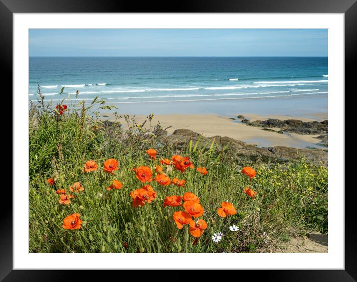 Last of the poppies at Fistral Beach Framed Mounted Print by Tony Twyman