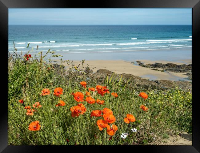 Last of the poppies at Fistral Beach Framed Print by Tony Twyman