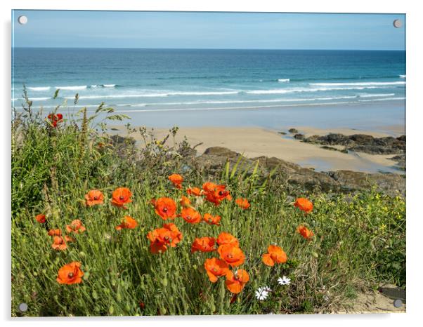 Last of the poppies at Fistral Beach Acrylic by Tony Twyman