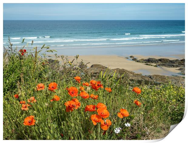Last of the poppies at Fistral Beach Print by Tony Twyman