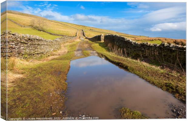 Wensleydale on a February afternoon, Yorkshire Dales Canvas Print by Louise Heusinkveld