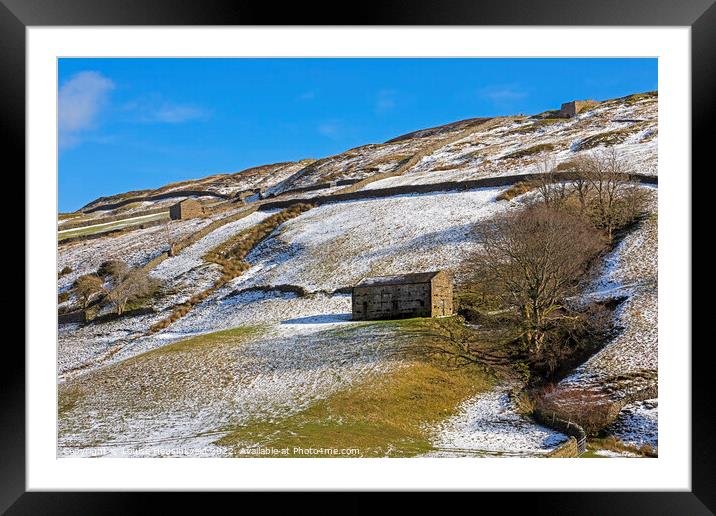 Stone barn in Swaledale, Yorkshire Dales National Park Framed Mounted Print by Louise Heusinkveld