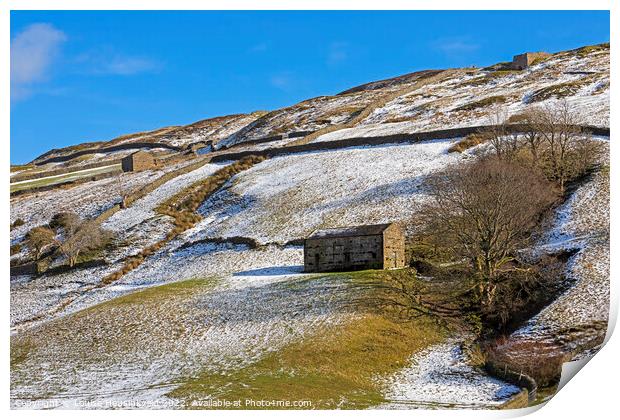 Stone barn in Swaledale, Yorkshire Dales National Park Print by Louise Heusinkveld