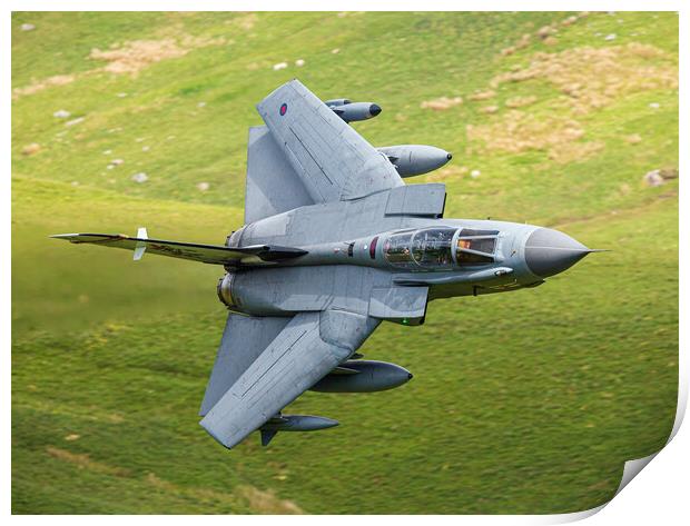 41(R) Squadron RAF Tornado Rebel 87 on the Mach Lo Print by Rory Trappe