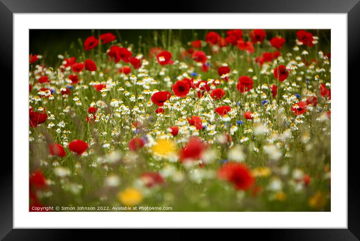 Poppy field with meadow flowers Framed Mounted Print by Simon Johnson