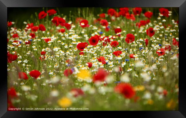 Poppy field with meadow flowers Framed Print by Simon Johnson