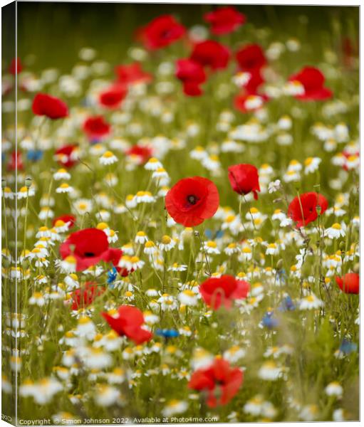 Poppy  field Canvas Print by Simon Johnson
