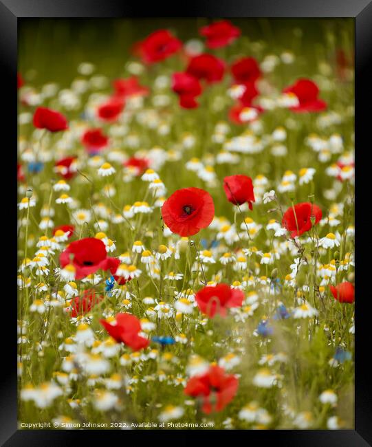 Poppy  field Framed Print by Simon Johnson