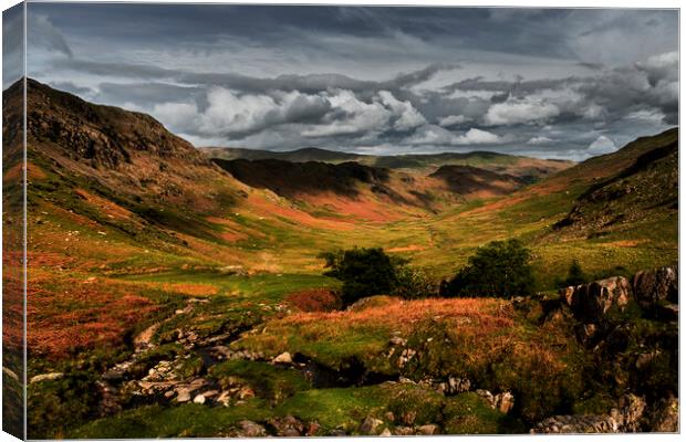 Far Easdale Valley and Gill, Grasmere, Cumbria Canvas Print by Maggie McCall