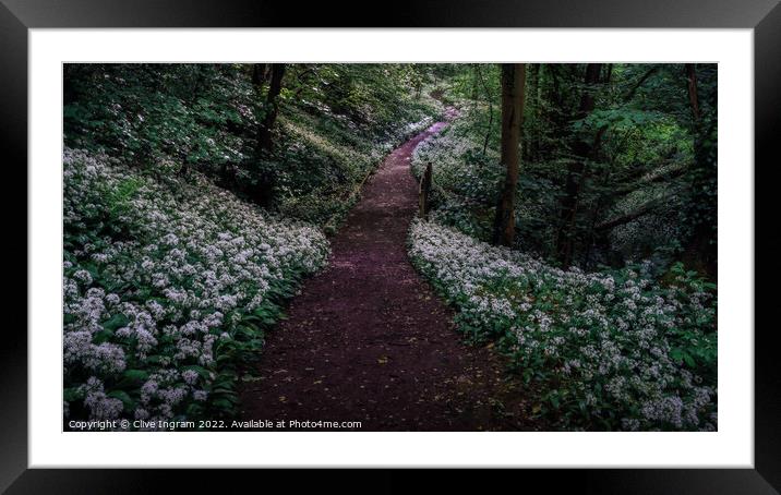 Wild garlic forest walk Framed Mounted Print by Clive Ingram