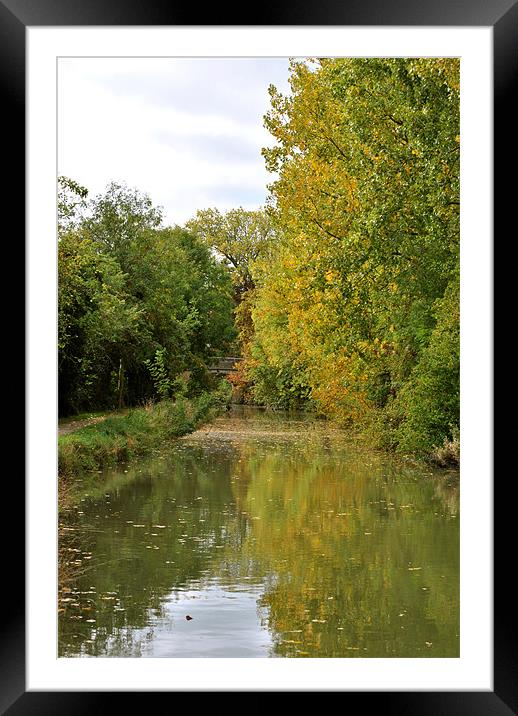 Autumn on the Wendover Arm Framed Mounted Print by graham young