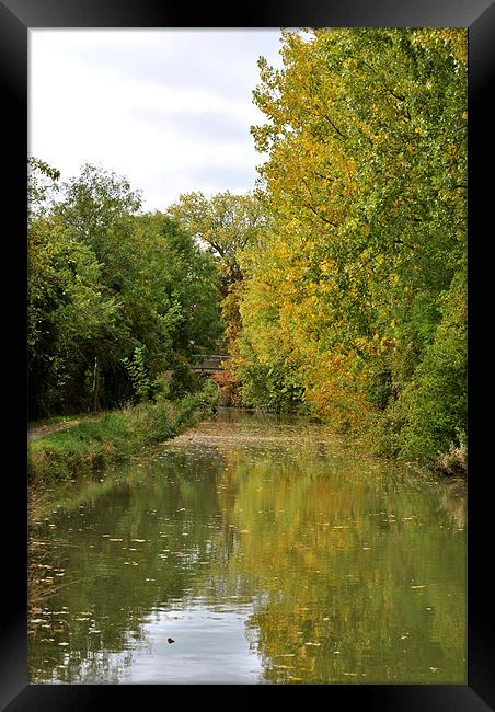 Autumn on the Wendover Arm Framed Print by graham young