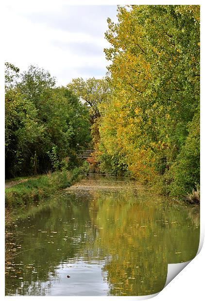 Autumn on the Wendover Arm Print by graham young