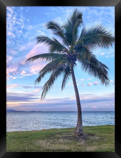 Palm Tree and Rainbow Sunset Framed Print by Julie Gresty