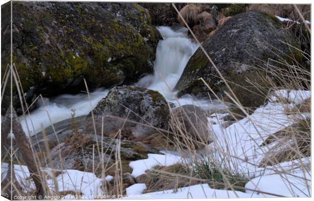 Serra da Estrela snow and waterfall Canvas Print by Angelo DeVal