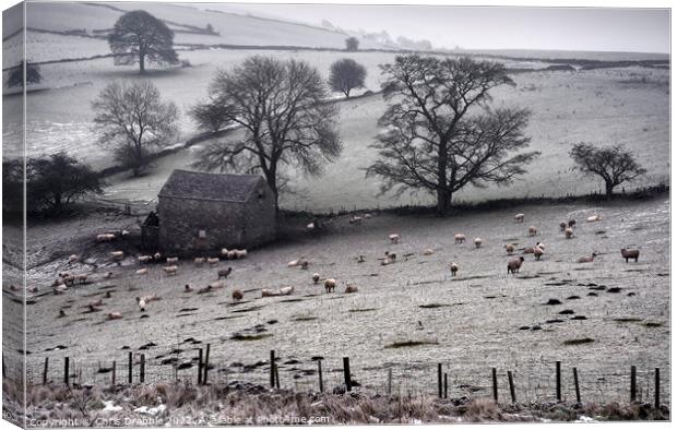 Winter at Wetton Canvas Print by Chris Drabble