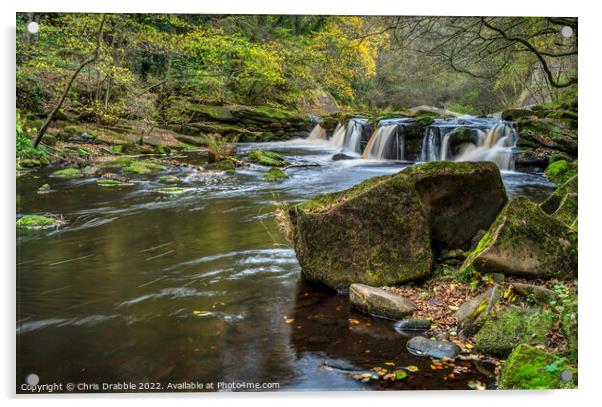 Yorkshire Bridge Waterfall Acrylic by Chris Drabble