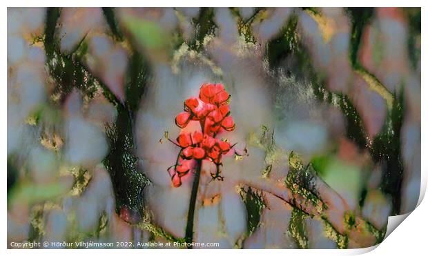 Fiery Red Berries Print by Hörður Vilhjálmsson