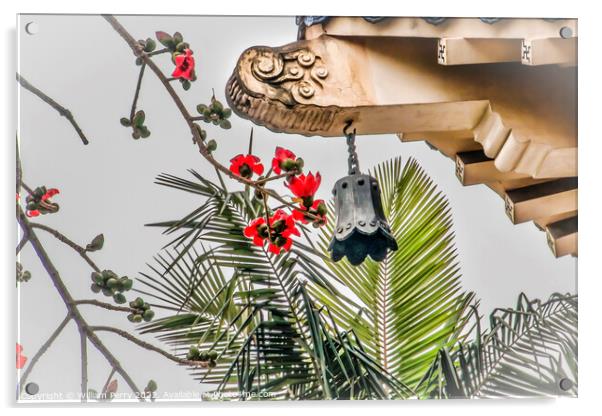 Red Bombax Ceiba Flower Sun Yat-Sen Memorial Guangzhou China Acrylic by William Perry