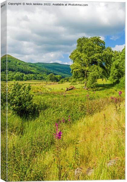 Looking up the Talybont Valley Brecon Beacons Canvas Print by Nick Jenkins