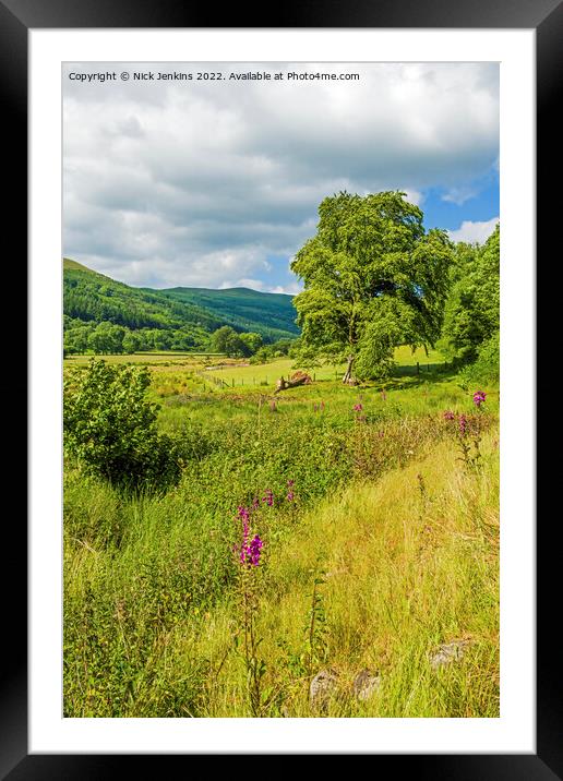 Looking up the Talybont Valley Brecon Beacons Framed Mounted Print by Nick Jenkins
