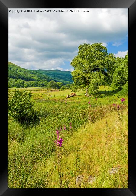 Looking up the Talybont Valley Brecon Beacons Framed Print by Nick Jenkins